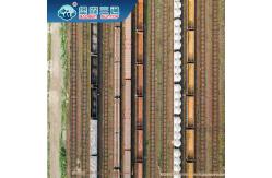 China FCL Global Forwarding Logistics International Shipping Freight Forwarder DDP supplier