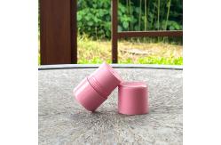 China 5g 8g 15g Empty Balm Stick Twist Up Round Makeup Lip Balm Container supplier