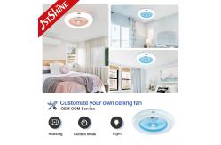 China 24 Inch Plastic Bedroom Ceiling Fan Light Fixtures With Remote Control supplier