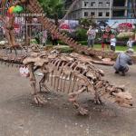 Park Decoration Dinosaur Skeleton Replica  Life Size  Sunproof for sale