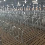 Disc Chain Conveying Swine Farm Equipment Pig House for sale