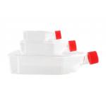 Culture Flask Plastic Tissue Cell Culture Flask Radical Factory for sale