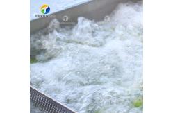 China Citrus Stalk Eliminated Lemon Processing Machinery Industrial Air Bubble Brush supplier