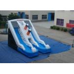 Digital Printing Commercial Inflatable Water Slides  0.55mm Pvc Tarpaulin 9 X 5.7 X 5.7m for sale