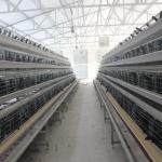 Manufacturers Battery Egg Layer Chicken Farm Poultry Laying Hens Cages for sale