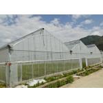 China Greenhouse With Manual Or Motor Roll Up Vent System For Natrual Ventilation manufacturer