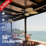 56 1stshine Ceiling Fan with Remote and Big Airflow Plastic Blades Simple Design for sale