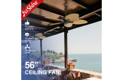 China 56 1stshine Ceiling Fan with Remote and Big Airflow Plastic Blades Simple Design supplier