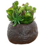 ODM Silver Color Artificial Succulent Plants For Home Desk for sale