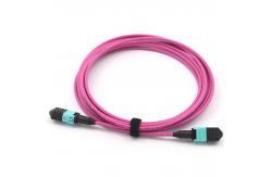 China Multimode OM4 Magenta Mpo Optical Cable 2m 850nm 12 Core supplier