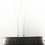 High Accuracy Ntc Thermistor Sensor With Small Epoxy Coating Bead 4.0mm for sale