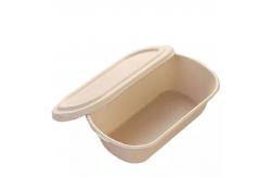China 850ml 1000ml Compostable Sugarcane Container Disposable Take Away Lunch Box supplier