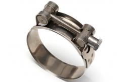 China Agricultural Sector Zinc Plated SS310 T Bolt Hose Clamp supplier