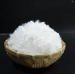 GRS Recycled Polyester Staple Fiber 3D 51MM Semi Dull UV Resistant for sale