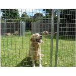 Square Hole 6 Gauge Pvc Coated Mesh Panel Low Carbon Iron Wire for sale