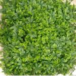 Home Decoration Artificial Wall Grass Create Natural Educational Environment For Kids for sale