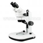 White Learning Stereo Binocular Microscope High Eyepoint A23.0901-BL1 for sale