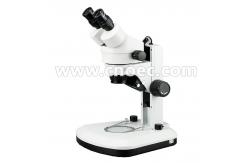 China White Learning Stereo Binocular Microscope High Eyepoint A23.0901-BL1 supplier