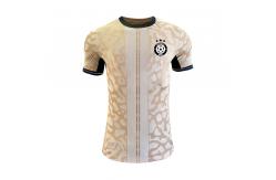 China Customized Logo Printing Player Version Jersey S-2XL Size Polyester Material supplier