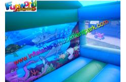 China Blue Inflatable Bouncer Slide , Water - Proof Kids Outdoor Inflatable Slides supplier