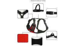 China Light Up Dog Harness Step In Style with Waterproof and Reflective Polyester Material supplier