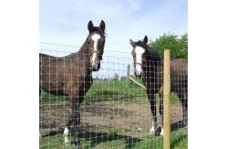 China ISO9001 Galvanized Cattle Farming Wire Mesh Fence 200m/Roll supplier