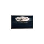 H335VVN01.0 3.4 Inch TFT IPS Color LCD Screen Portrait Oled Lcd Display for sale