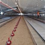 24 Holes PVC Pipe Chicken Feeders And Water Systems for sale