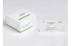 China 2019-NCoV IgM / IgG Detection Kit ( Colloidal Gold Based ) Company Profile supplier