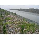 Low Flexibility Good Embankment Stone Cage Net 80x100mm for sale