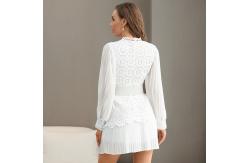 China Polyester Round Neck Ladies Lace Dresses Long Sleeves Embroidered Lace Mini Dress supplier