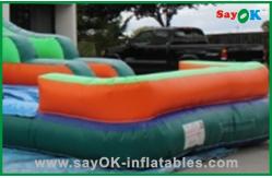 China Giant Inflatable Dry Slide Fire Resistant Toddler Inflatable Bouncer Rentals Commercial Inflatable Slide supplier