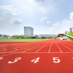 Stadium Sandwich System Running Track EPDM Rubber Flooring Surface for sale