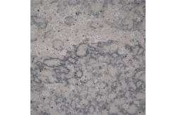 China Leathered Finish 20MM Grey Calacatta Wall Panel Quartz Surface supplier