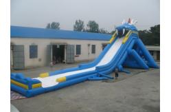 China Inflatable hippo slide giant outdoor slide supplier