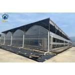 Hydroponic Multi Span Greenhouse For Vegetable Production And Herbs Cultivation Systems for sale
