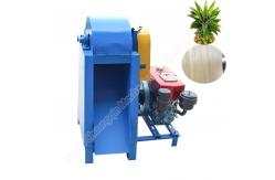 China Automatic Fiber Extraction Machine Decorticated Of Pineapple Fibers Machine supplier