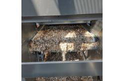 China 1.25m Hens Poultry Manure Removal System 3-8tiers Automated supplier
