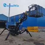 Black Color Telescopic Boom Spider Crane 3 Ton Lifting Capacity for sale