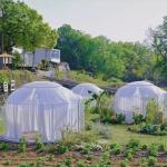 360 Degree Events Waterproof Geodesic Domes House UV Resistance Star PC Glamping Igloo for sale