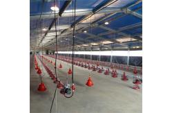 China OEM Broiler Floor System 380V Broiler Flat Raising Whole House System supplier