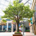 Artificial Indoor Banyan Tree Evergreen Leaves No Water Faux Tree No Pest Plants for sale