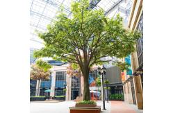 China Bespoke Large Fake Ficus Tree Custom Height Foliage Tree 2-20m Evergreen Plant supplier