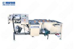 China Small Size Automatic Continuous Conveyor Belt Fruit Vegetable Washing Machine supplier