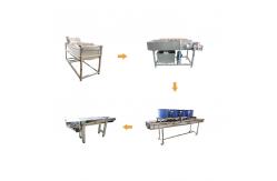 China SS304 Vegetable And Fruit Washing Machine Mango Processing Line supplier