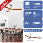 Lighting Solutions Service Lighting and Circuitry Design for 1stshine Ceiling Fan