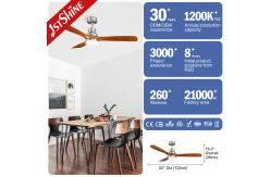 China Lighting Solutions Service Lighting and Circuitry Design for 1stshine Ceiling Fan supplier