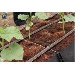 Hydroponic Plant Growth Planting Trough PP Roll Within 0.7mm Thickness