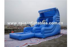 China Customized inflatable water slide,inflatable slide,giant inflatable slidefor adult supplier