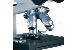 China University Student Biological Microscope Polarizing Microscopes , CE Rohs A11.0208 supplier